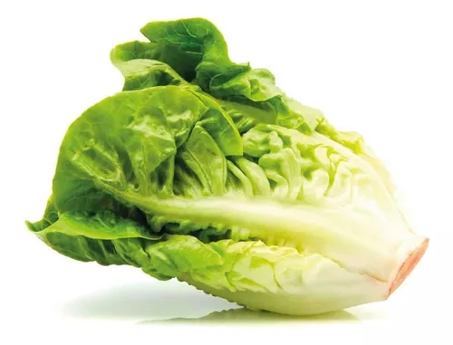 Alface Crespa Sementes